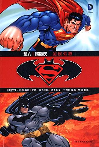 超人与蝙蝠侠：全民公敌